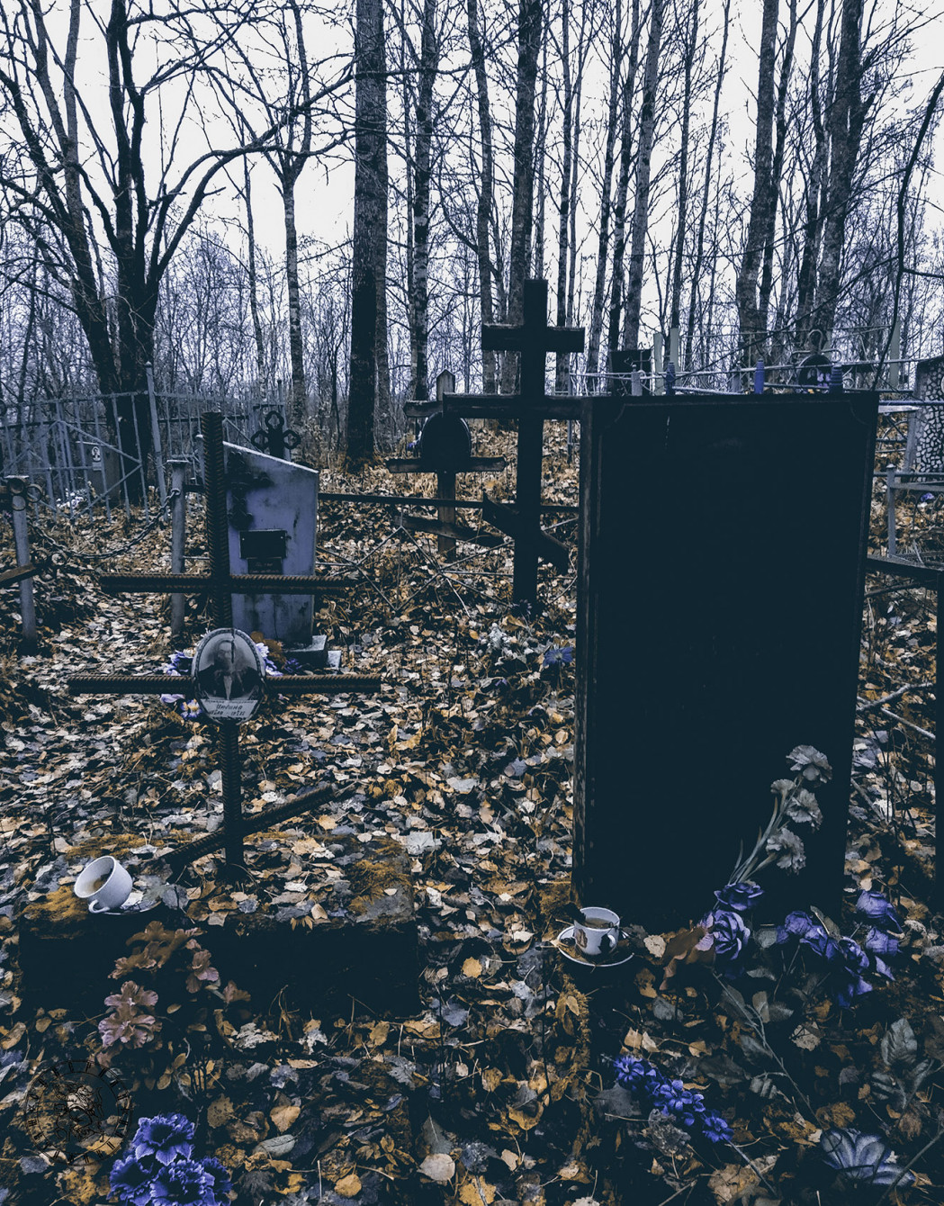 Autumn Sleep of the Dead