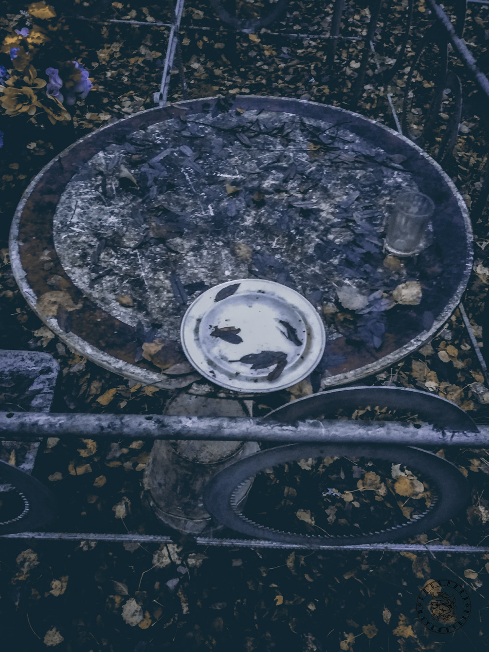 Autumn Sleep of the Dead
