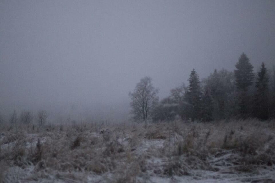 Магия декабря