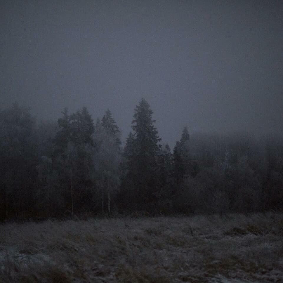 Магия декабря