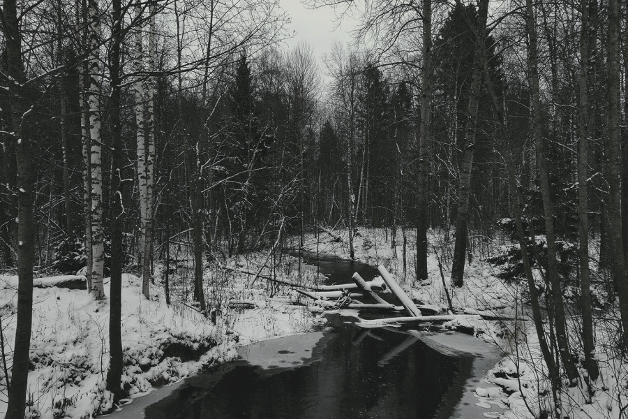 Happy Winter Solstice to everyone!