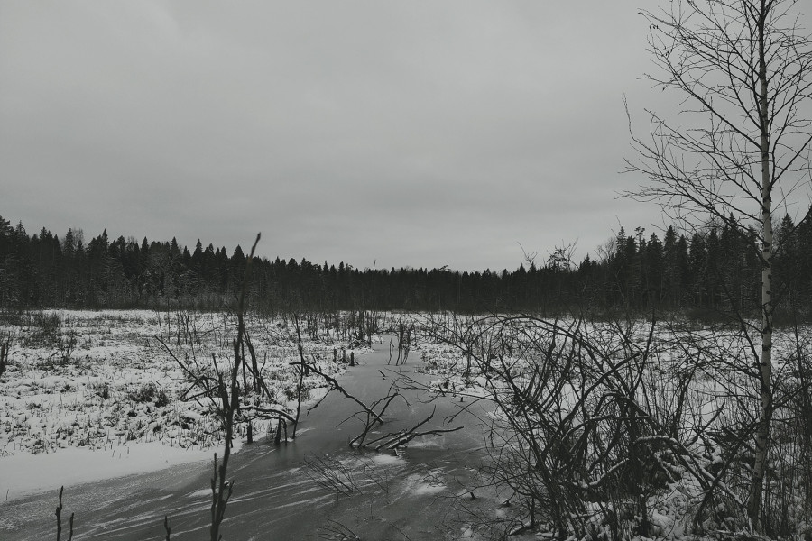 Happy Winter Solstice to everyone!