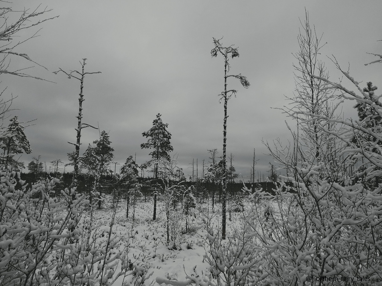 Happy Winter Solstice to everyone!