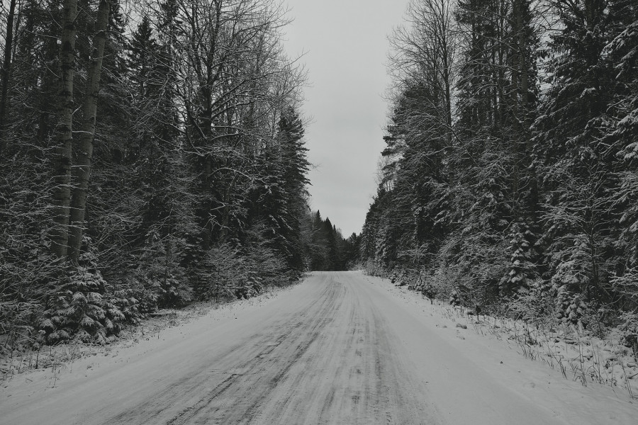 Happy Winter Solstice to everyone!