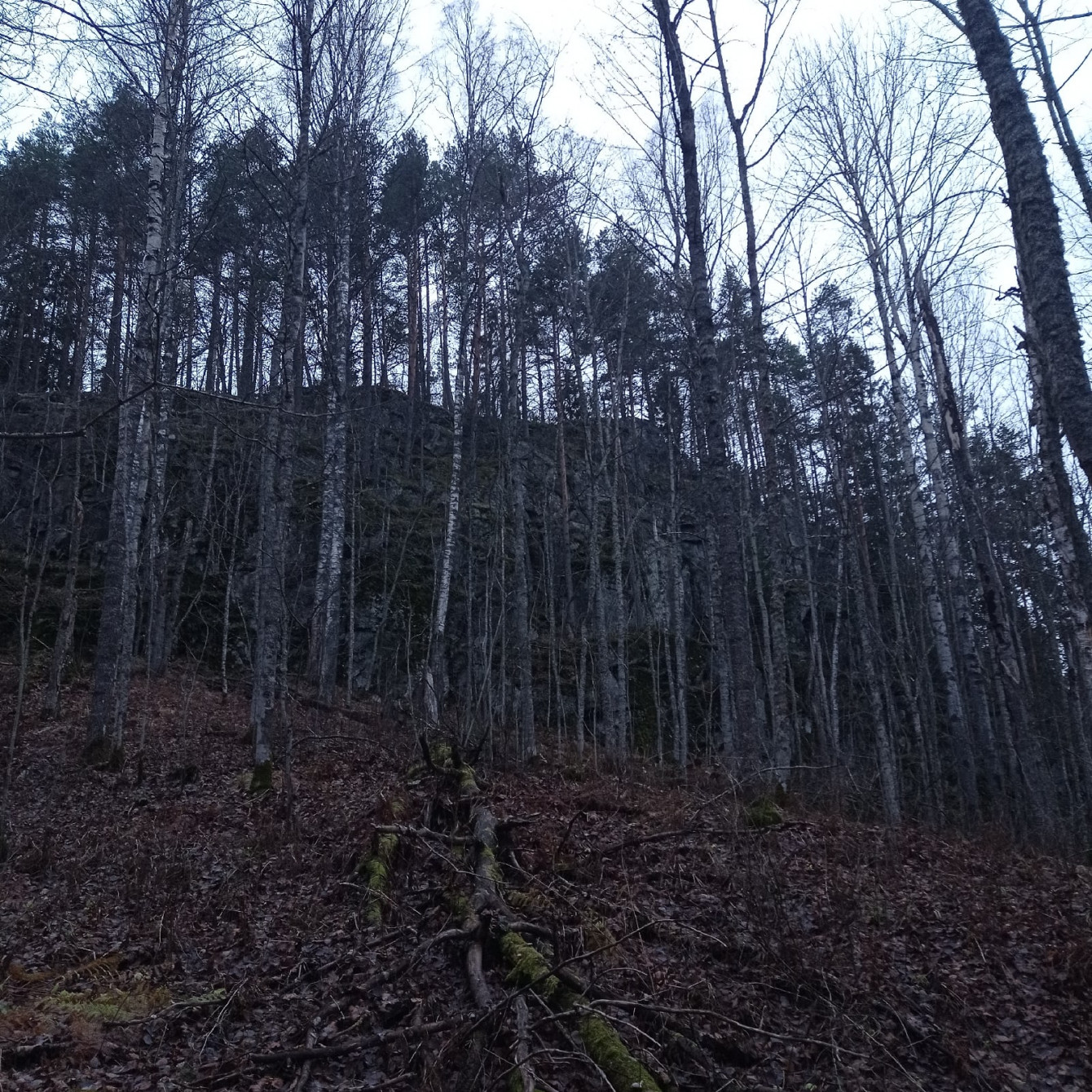 Kegrin Päivä: the Krampus of the Karelian Forests