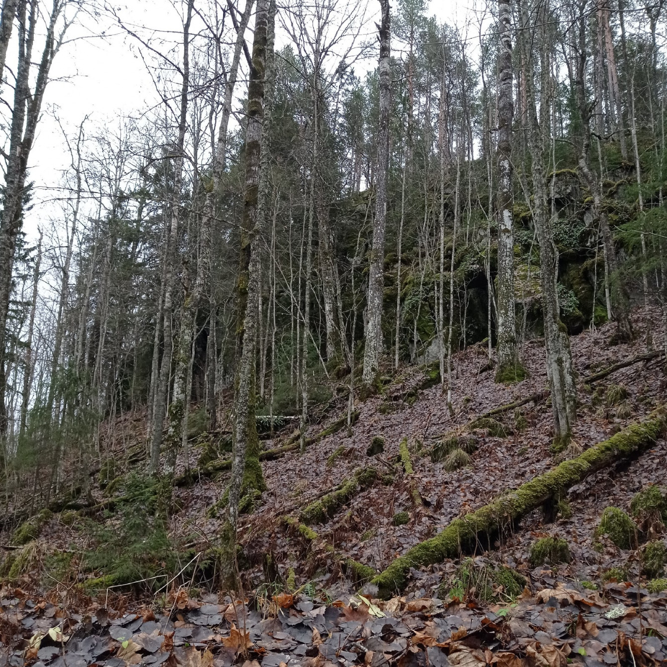 Kegrin Päivä: the Krampus of the Karelian Forests
