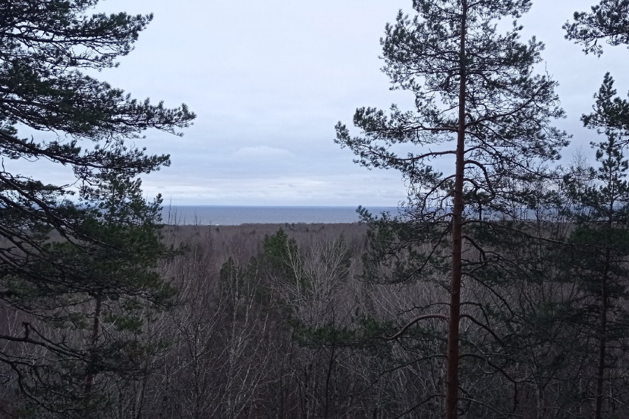 Kegrin Päivä: the Krampus of the Karelian Forests