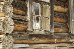 The Empty House