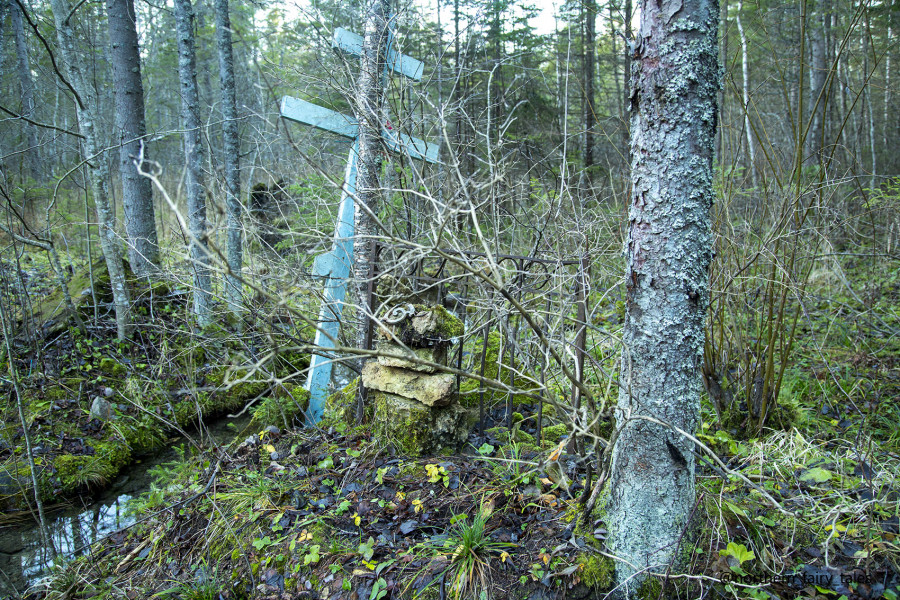 The Kalozhitsy Holy Well