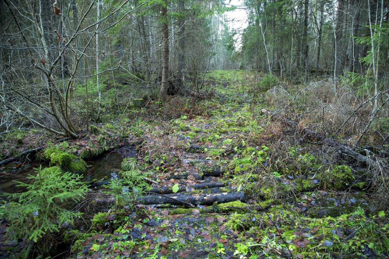 The Kalozhitsy Holy Well