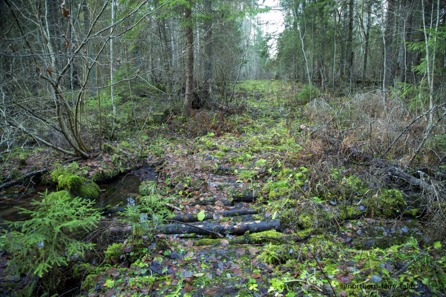 The Kalozhitsy Holy Well
