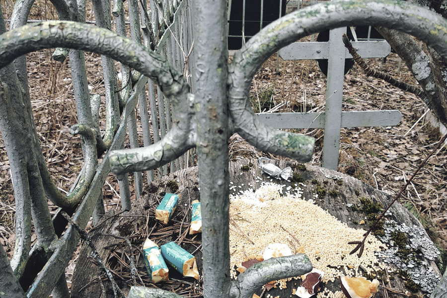 Radonitsa Offerings