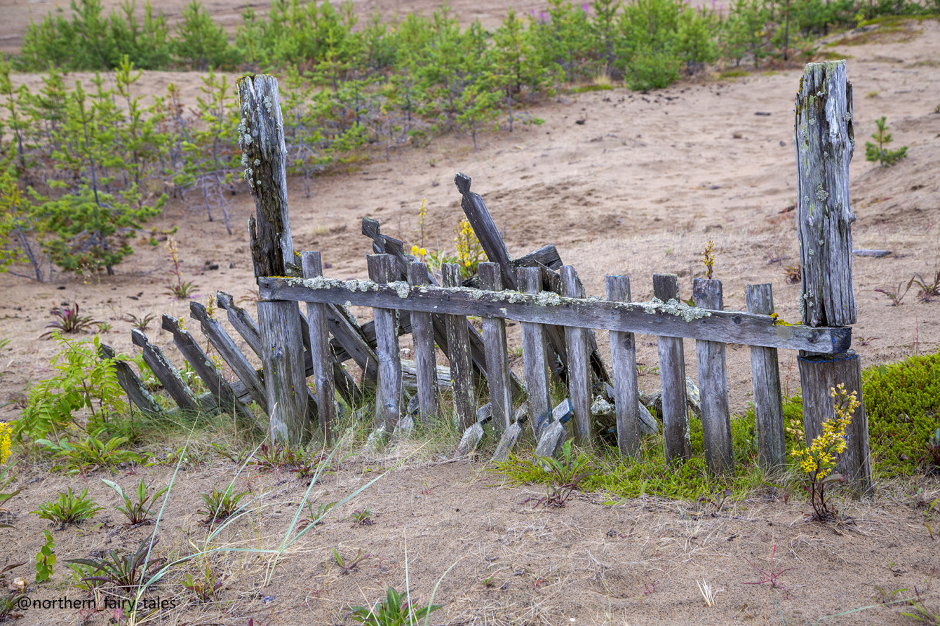 Kuzomen : The Cemetery