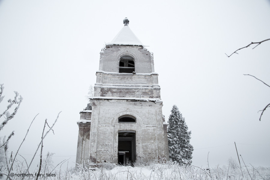 Коновал