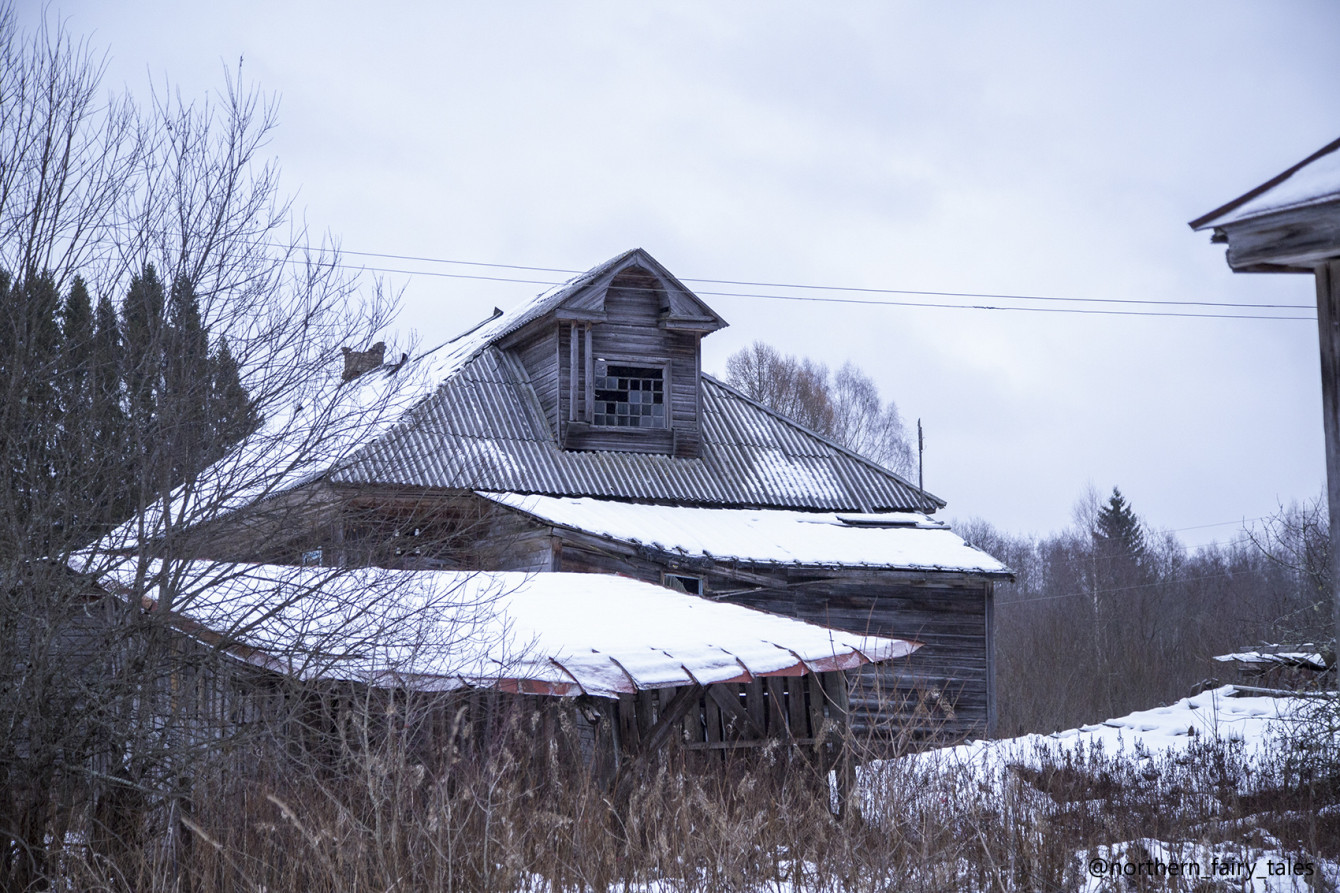 Houses Have Eyes