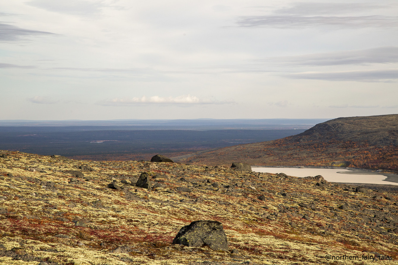The Dead Noid (From Sámi Folklore)