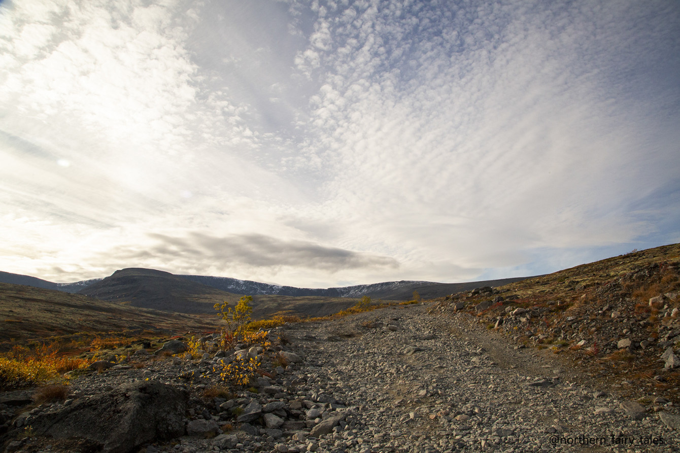 The Dead Noid (From Sámi Folklore)