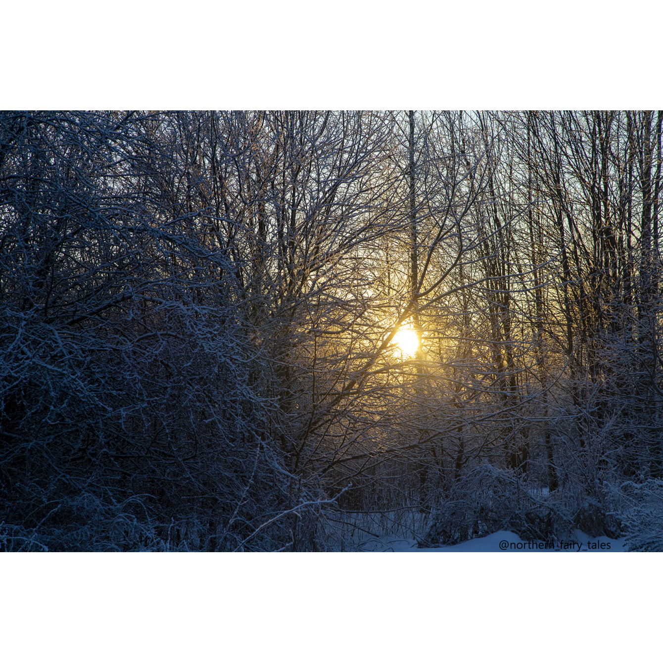 Getting ready for your Christmas Eve fortune-telling?