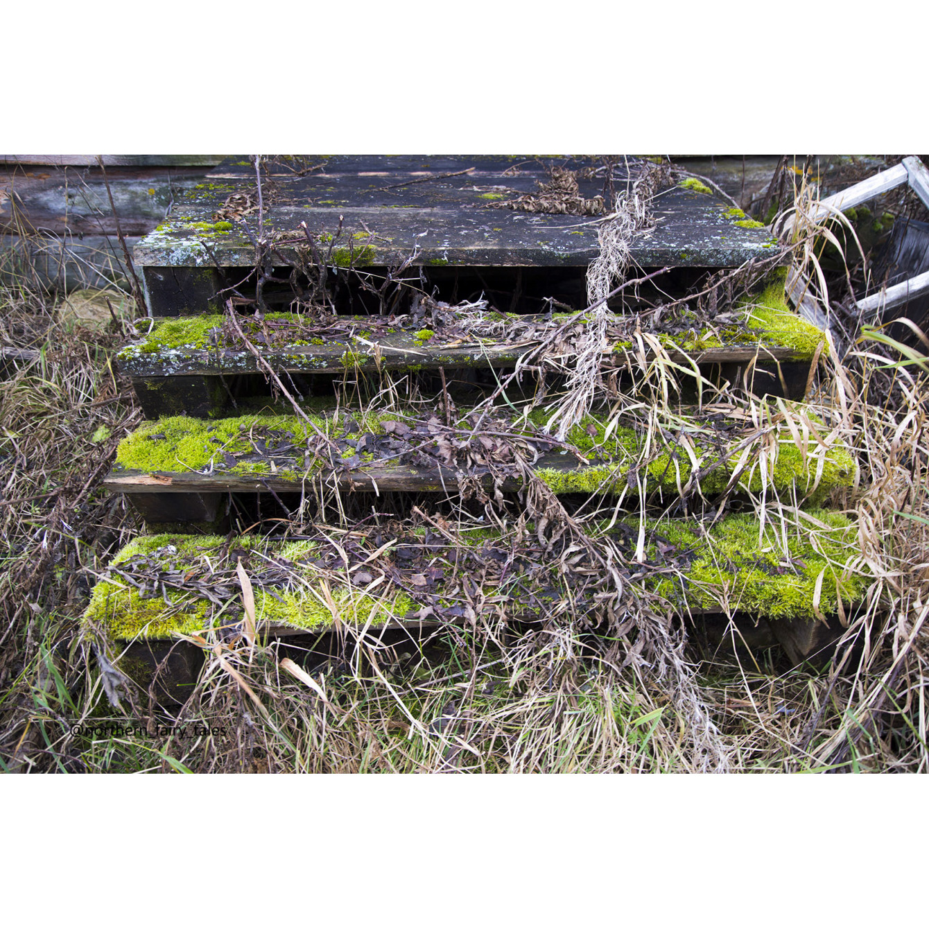 An Abandoned House as a Doorway to the Otherworld
