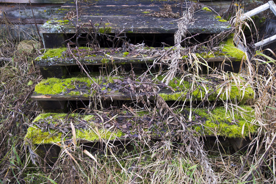 An Abandoned House as a Doorway to the Otherworld