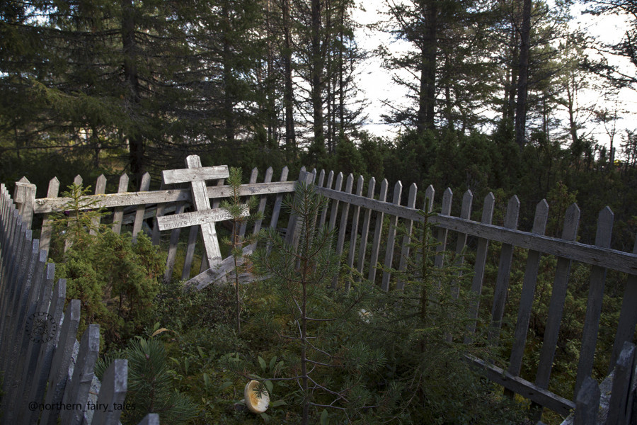 An ancient forest cemetery of the Pomors near the village of Kuzreka on the Tersky Coast of the White Sea