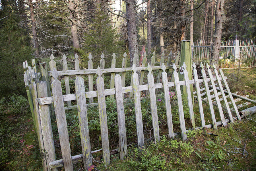 An ancient forest cemetery of the Pomors near the village of Kuzreka on the Tersky Coast of the White Sea