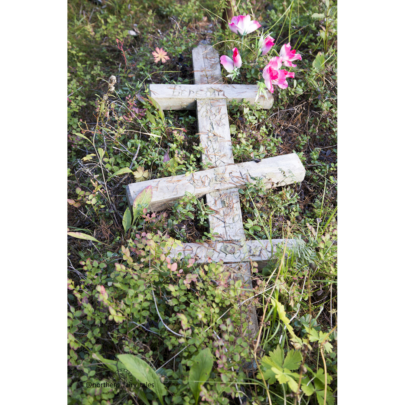 An ancient forest cemetery of the Pomors near the village of Kuzreka on the Tersky Coast of the White Sea
