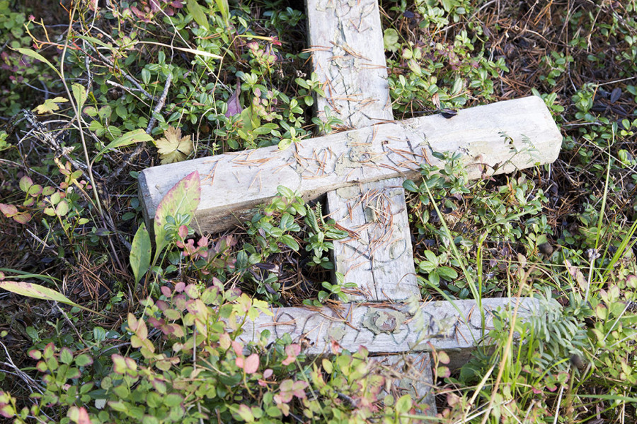 An ancient forest cemetery of the Pomors near the village of Kuzreka on the Tersky Coast of the White Sea