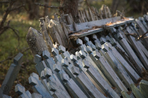 An ancient forest cemetery...