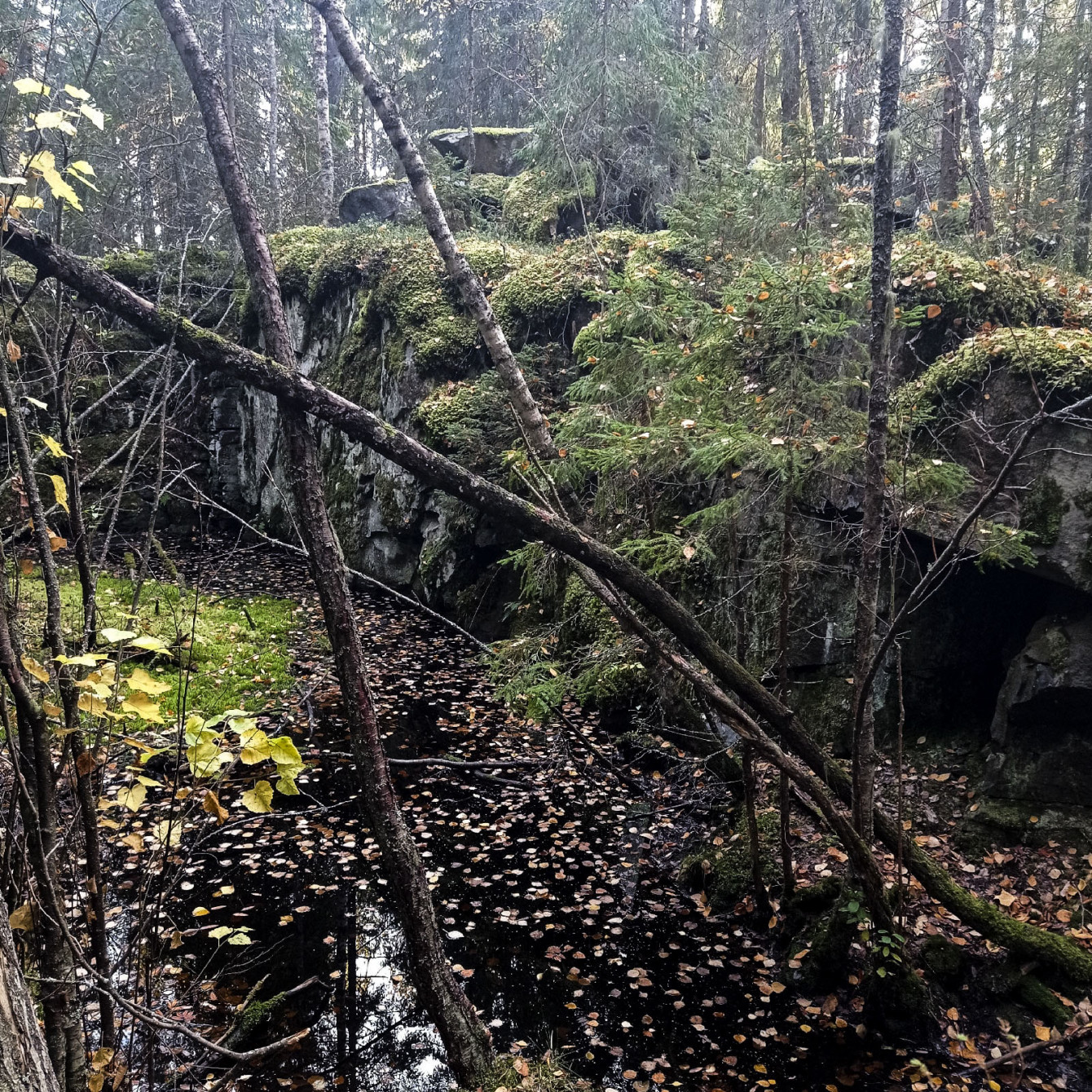 Deep within the dark forests lie the Finnish fortifications of Väliniemi, near Lake Onega.