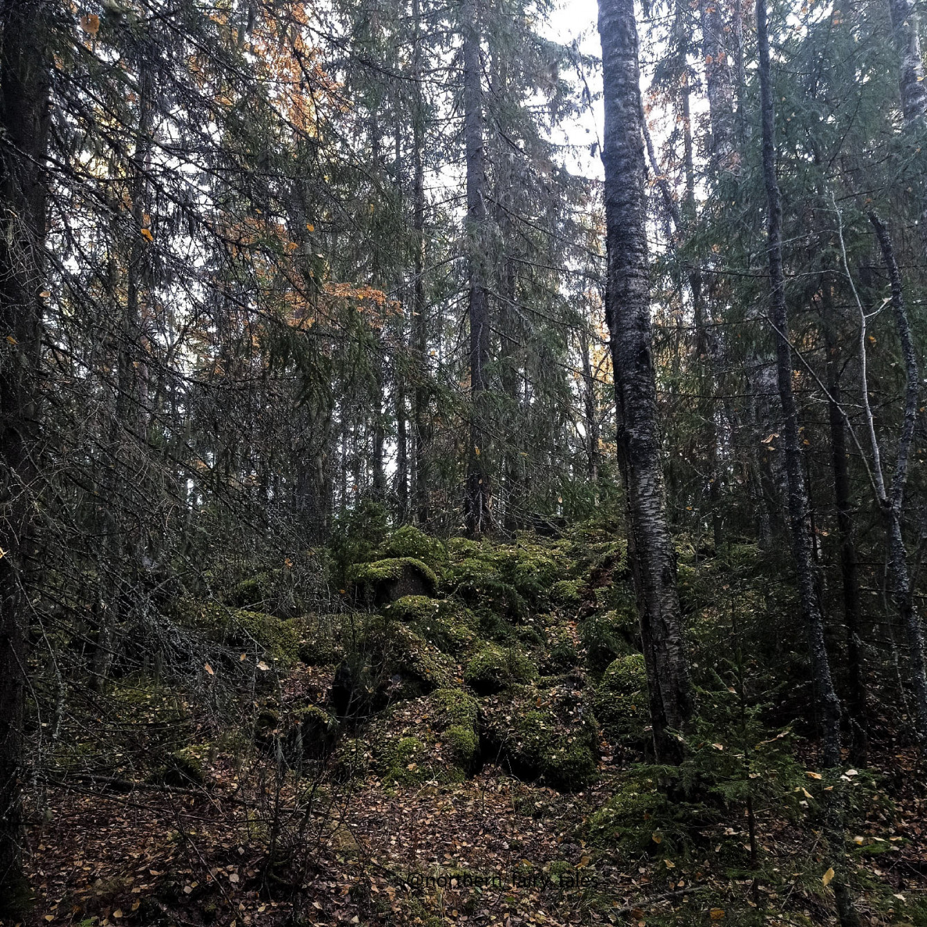 Deep within the dark forests lie the Finnish fortifications of Väliniemi, near Lake Onega.