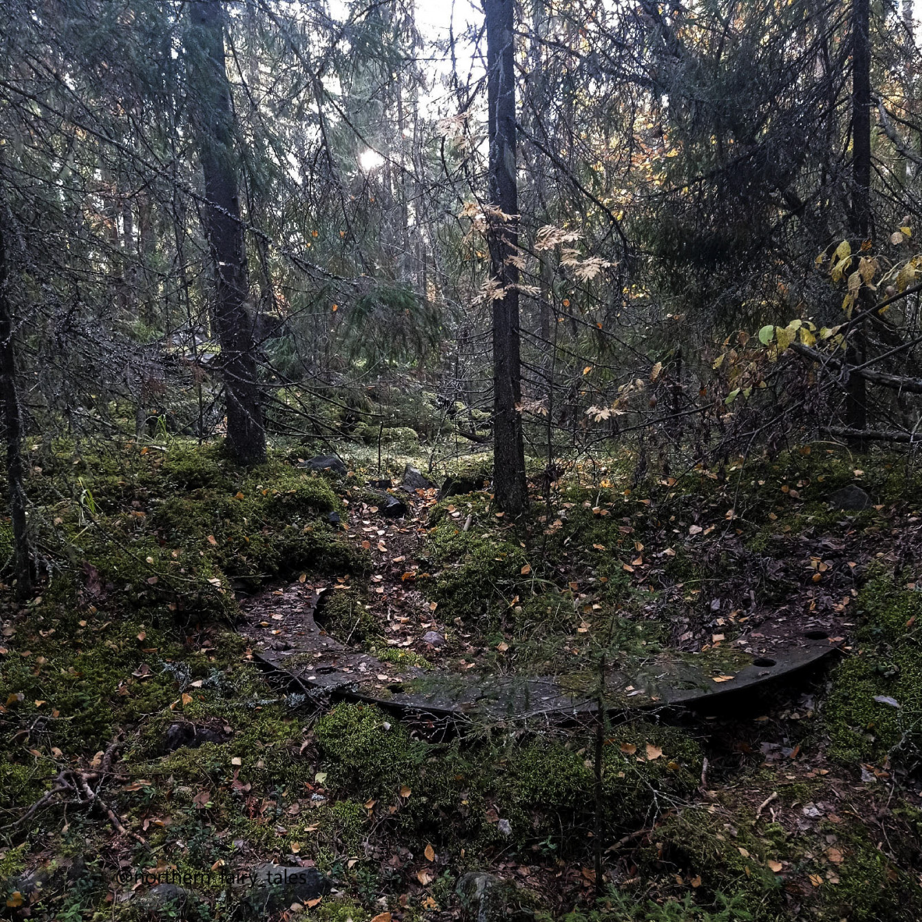 Deep within the dark forests lie the Finnish fortifications of Väliniemi, near Lake Onega.