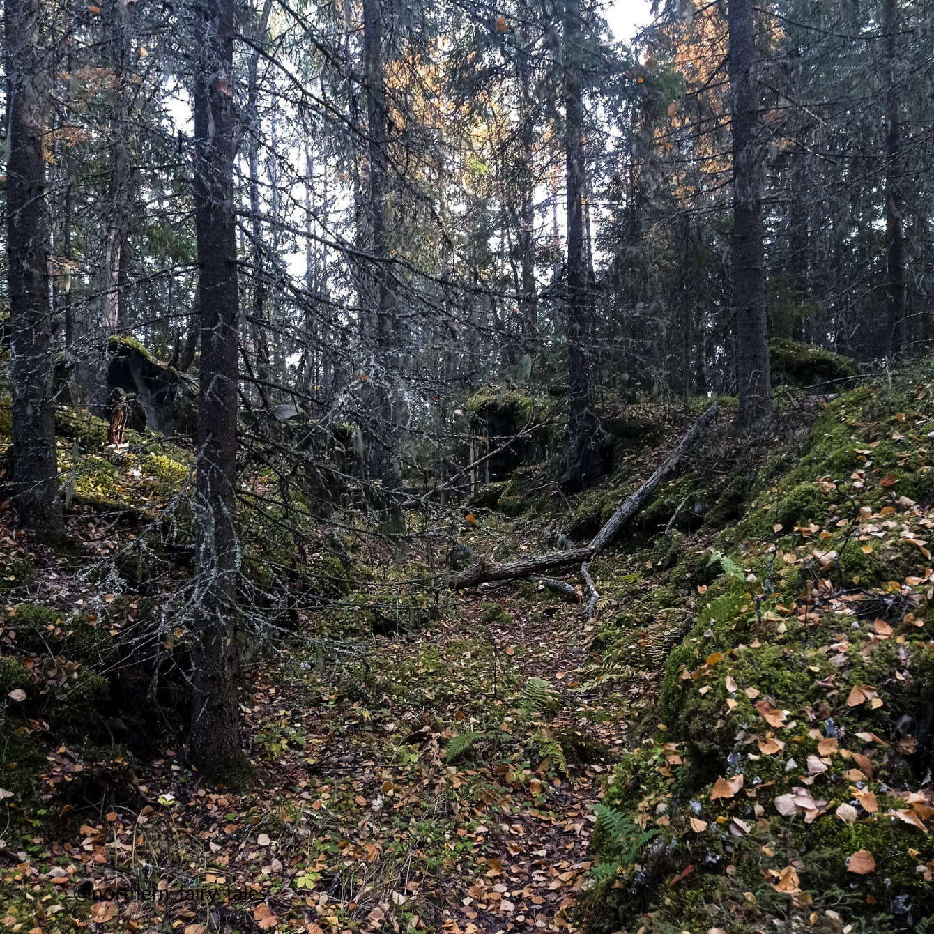 Deep within the dark forests lie the Finnish fortifications of Väliniemi, near Lake Onega.