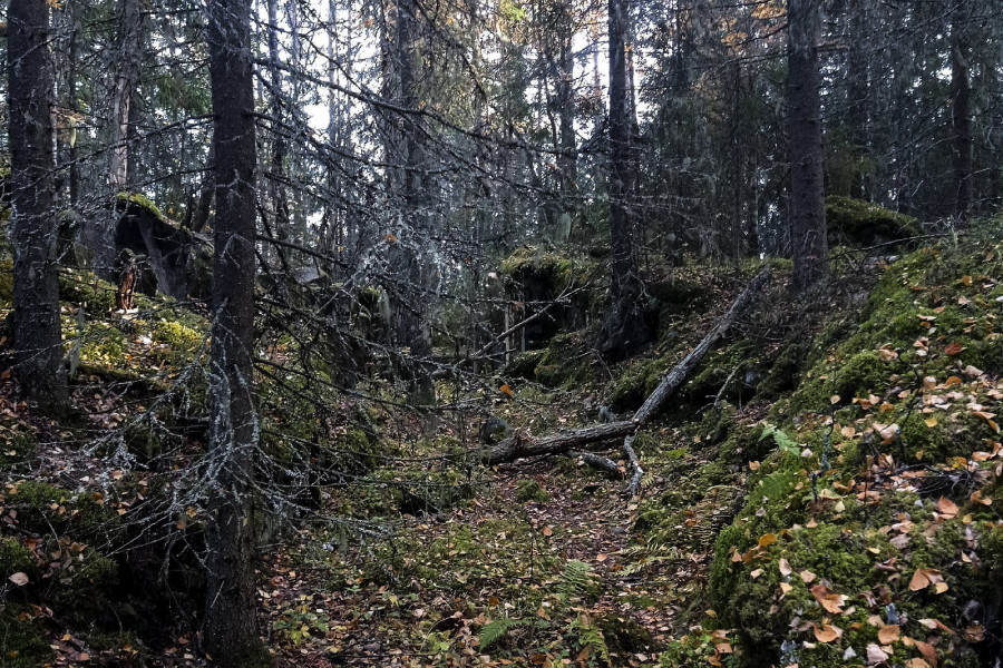Deep within the dark forests lie the Finnish fortifications of Väliniemi, near Lake Onega.