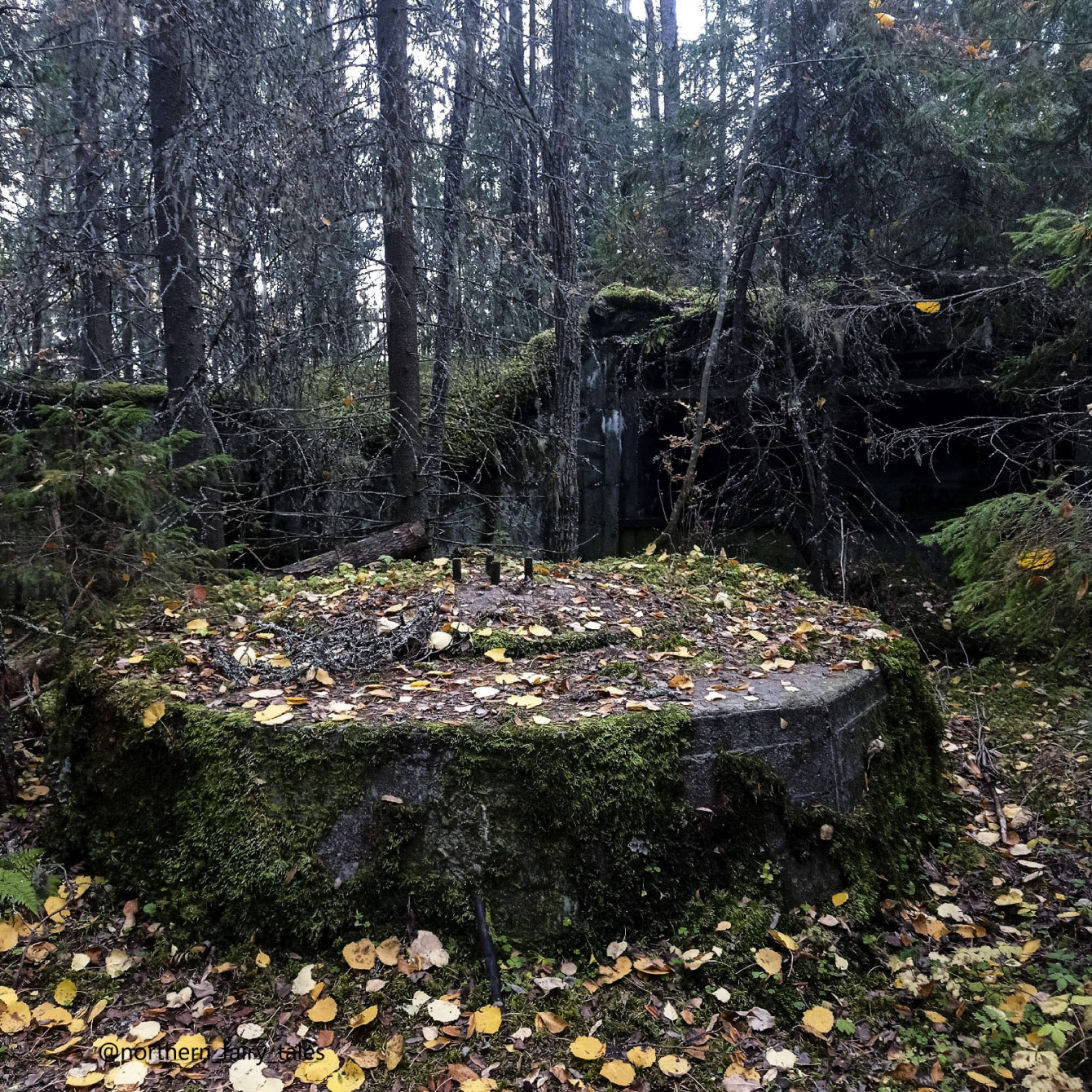 Deep within the dark forests lie the Finnish fortifications of Väliniemi, near Lake Onega.
