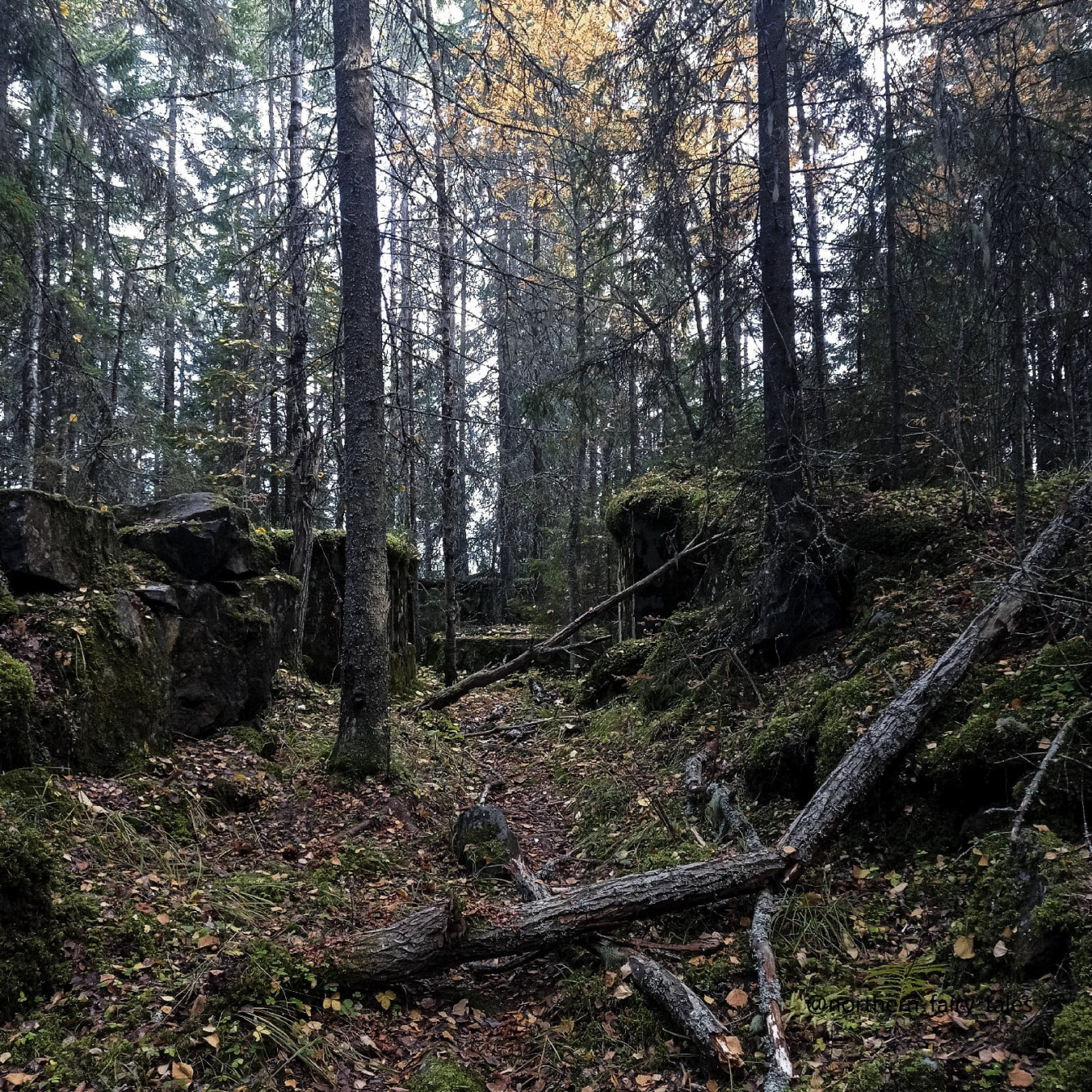 Deep within the dark forests lie the Finnish fortifications of Väliniemi, near Lake Onega.