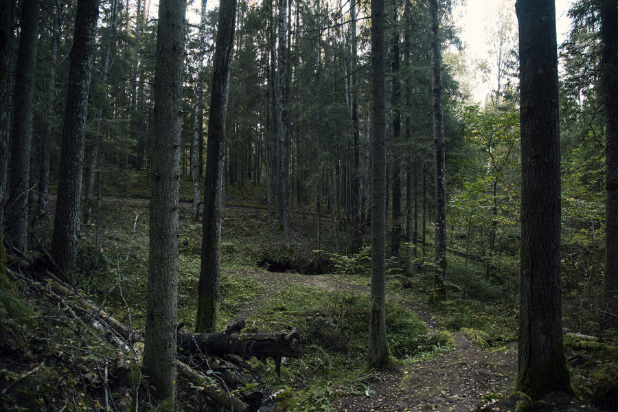 Kuzovnitsa: A Natural Shrine in the Forests