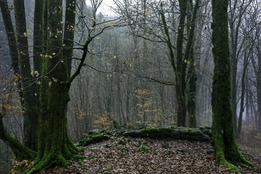 The Ruins of the Agua Church Amid January Mists