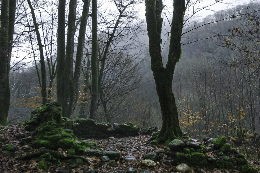 The Ruins of the Agua Church Amid January Mists