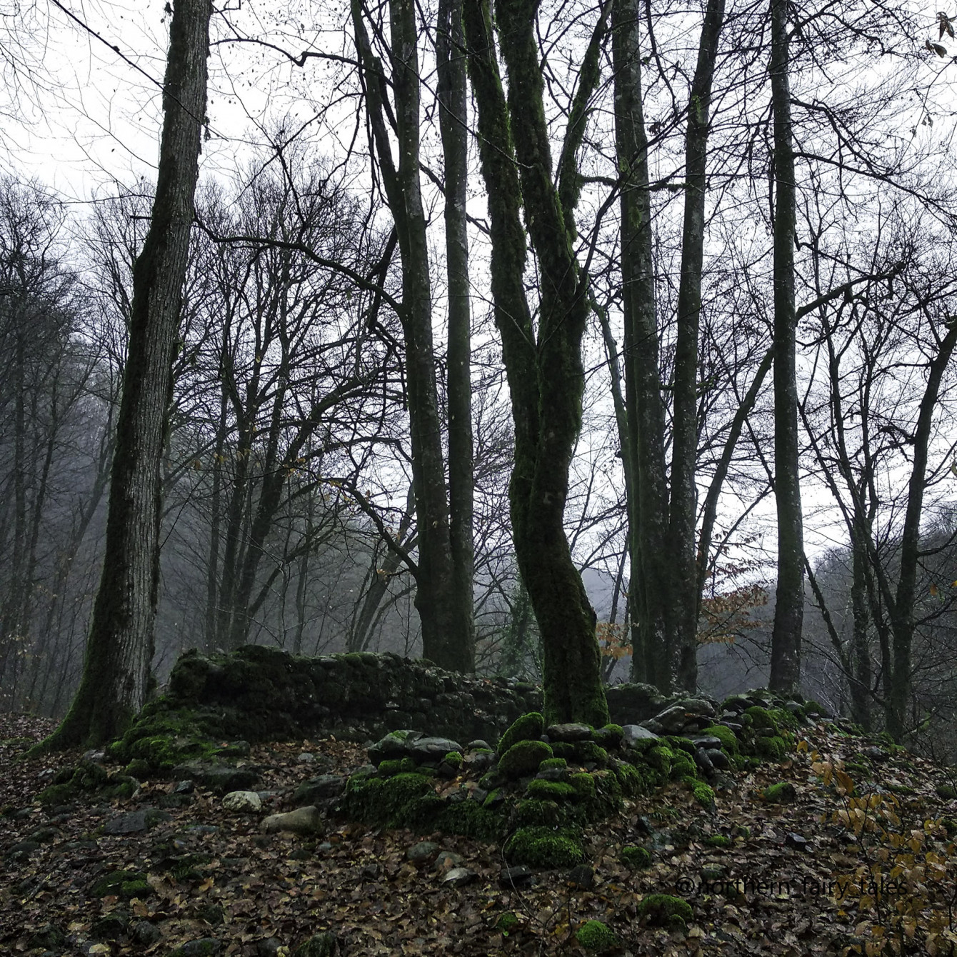 The Ruins of the Agua Church Amid January Mists