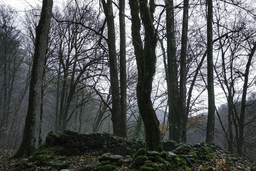 The Ruins of the Agua Church Amid January Mists