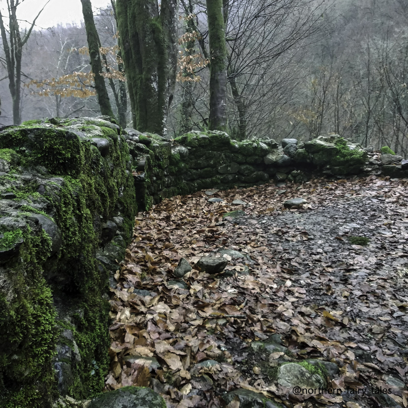The Ruins of the Agua Church Amid January Mists
