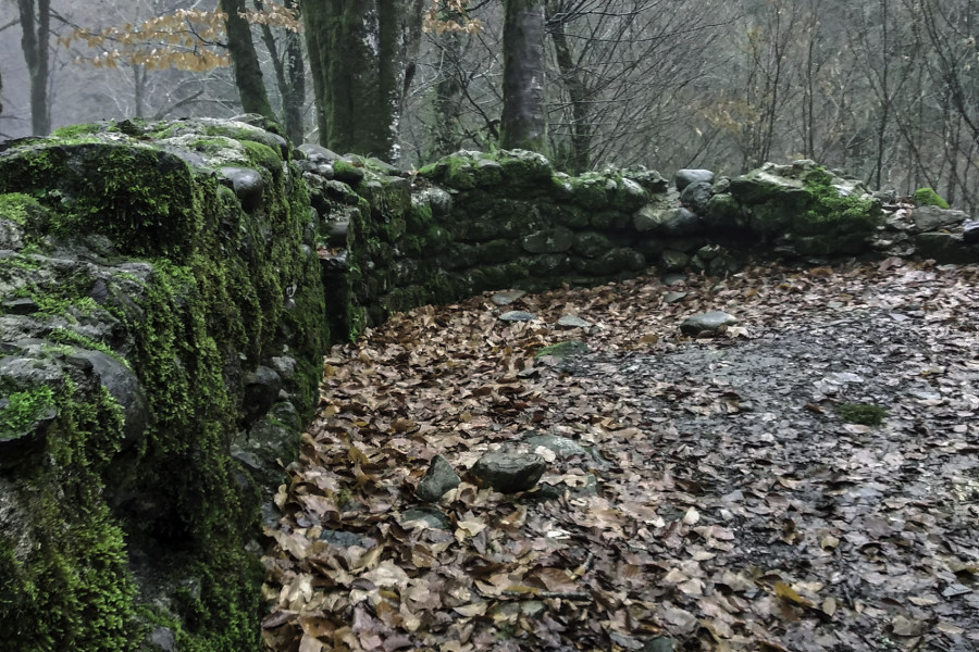 The Ruins of the Agua Church Amid January Mists