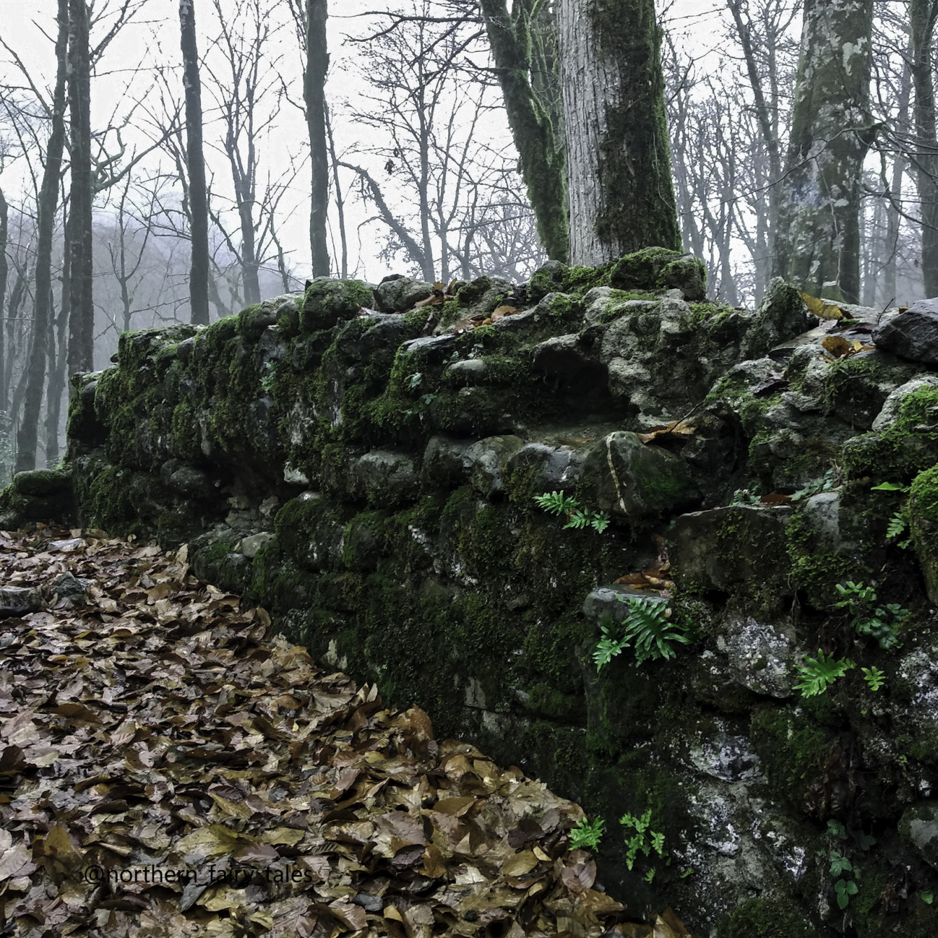 The Ruins of the Agua Church Amid January Mists