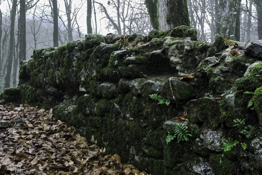 The Ruins of the Agua Church Amid January Mists