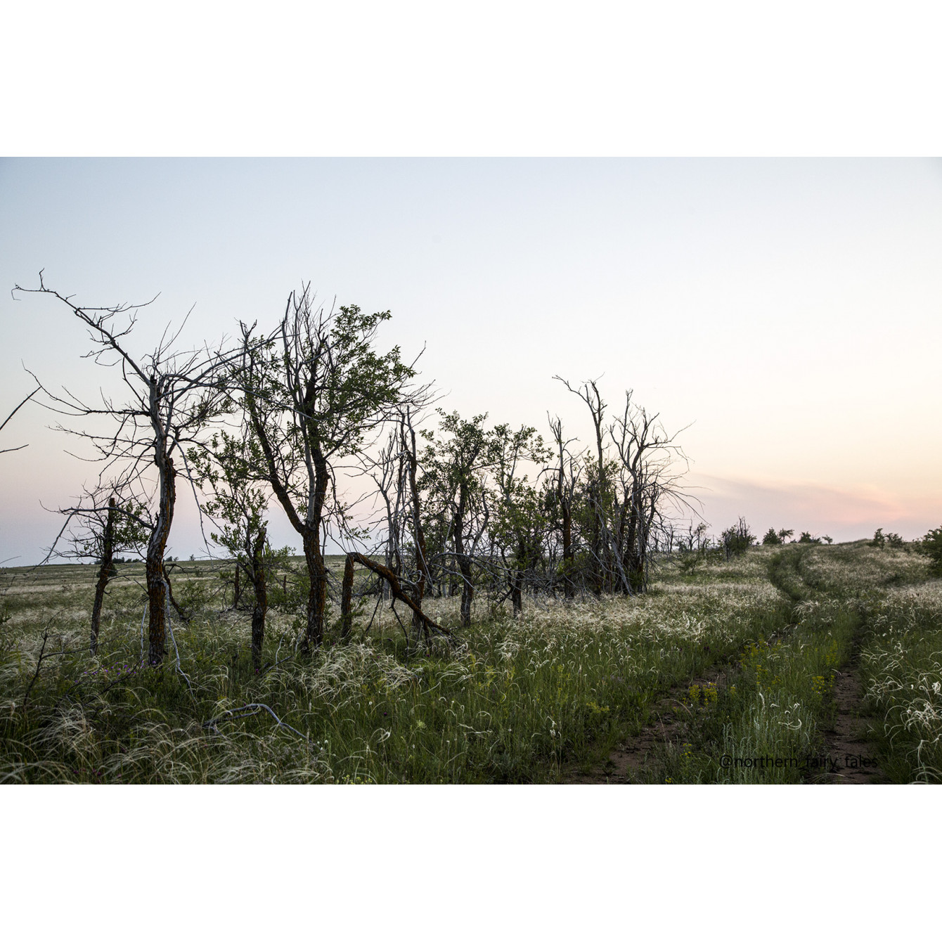 Medveditskaya Ridge: Journey into the Anomalous Zone