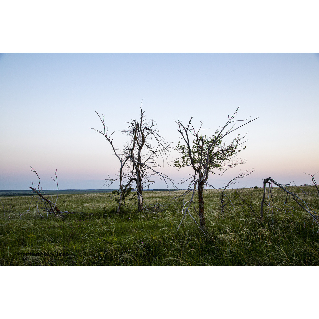 Medveditskaya Ridge: Journey into the Anomalous Zone