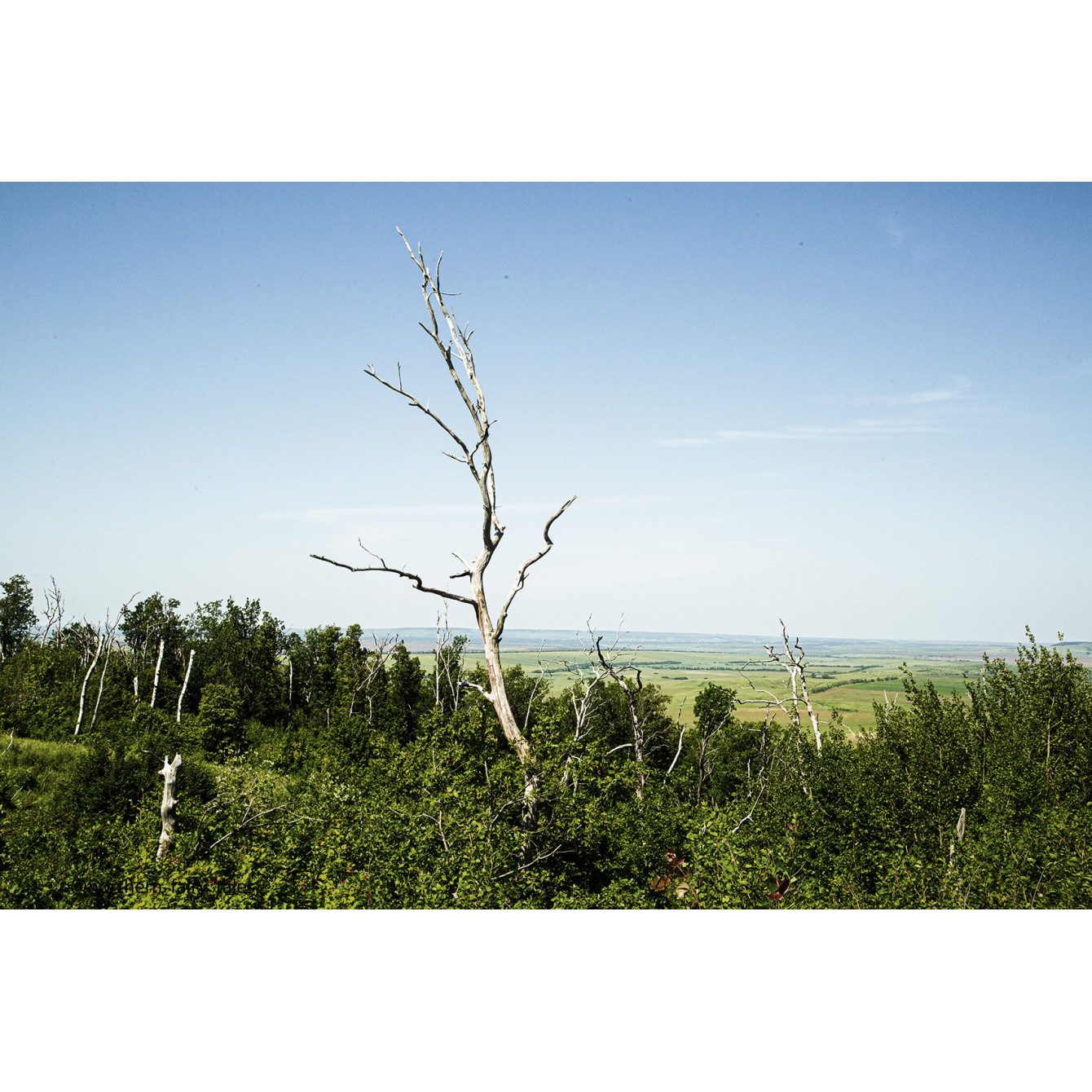 Medveditskaya Ridge: Journey into the Anomalous Zone