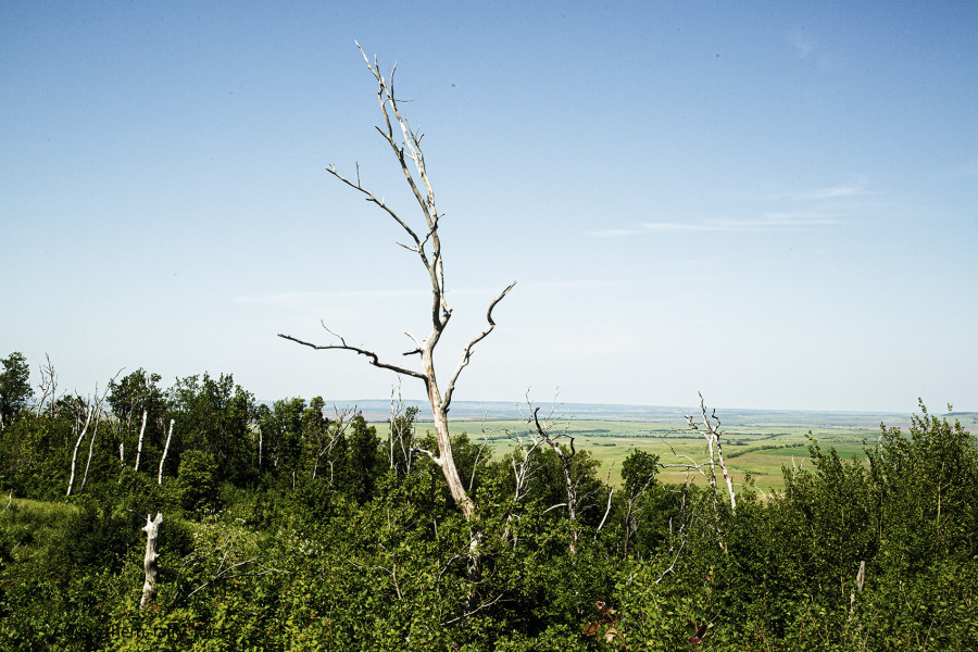 Medveditskaya Ridge: Journey into the Anomalous Zone