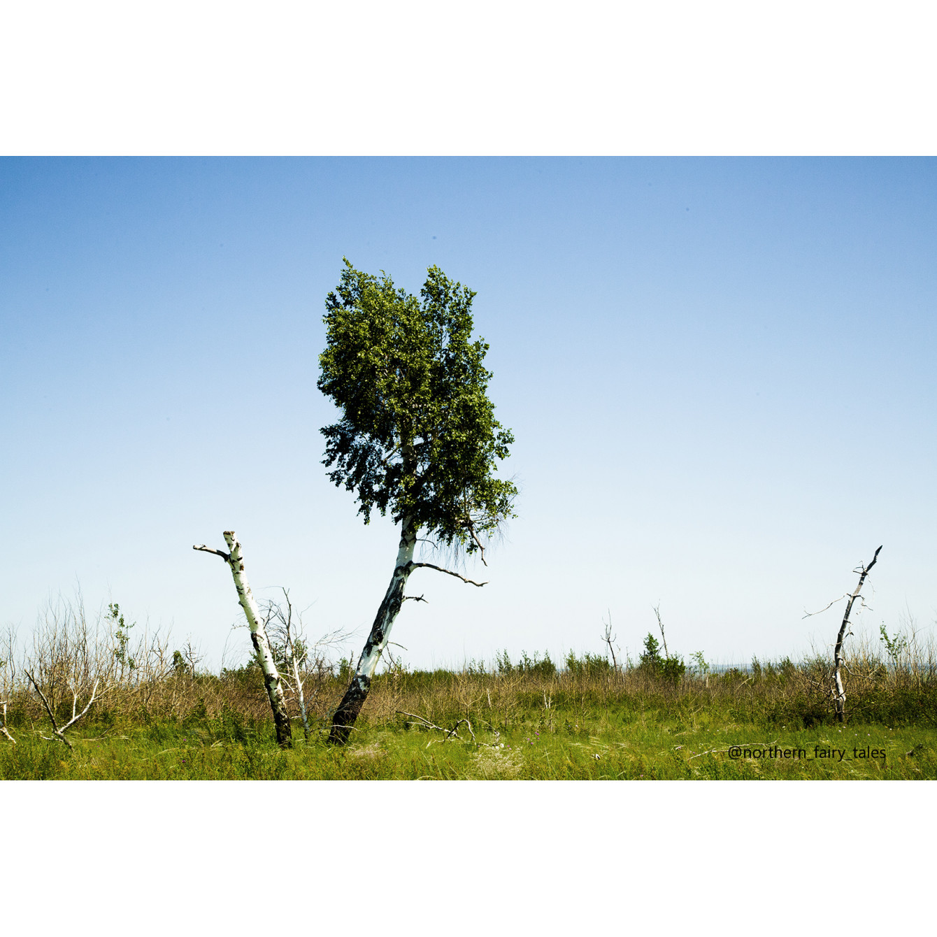Medveditskaya Ridge: Journey into the Anomalous Zone
